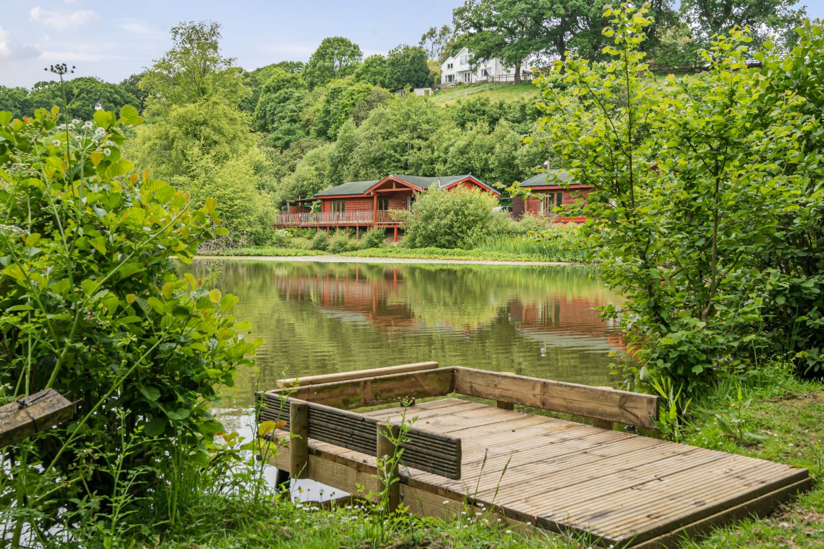 8 bedroom Residential, Buckland Brewer, Bideford, EX39 - Available, Image 3