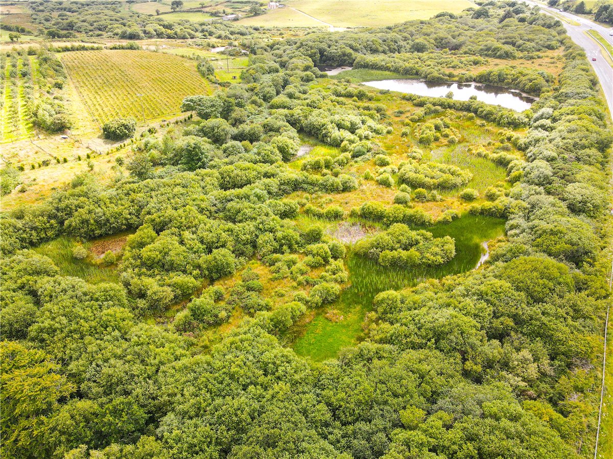 16.98  Land, Trewint, Altarnun, PL15 - Sold, Image 7