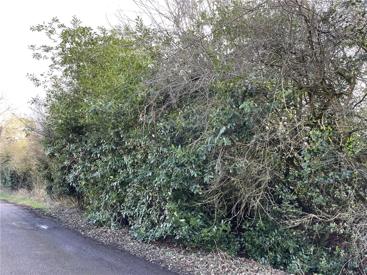 1.2  Land, Greenham, , RG14 - Sold, Image 6
