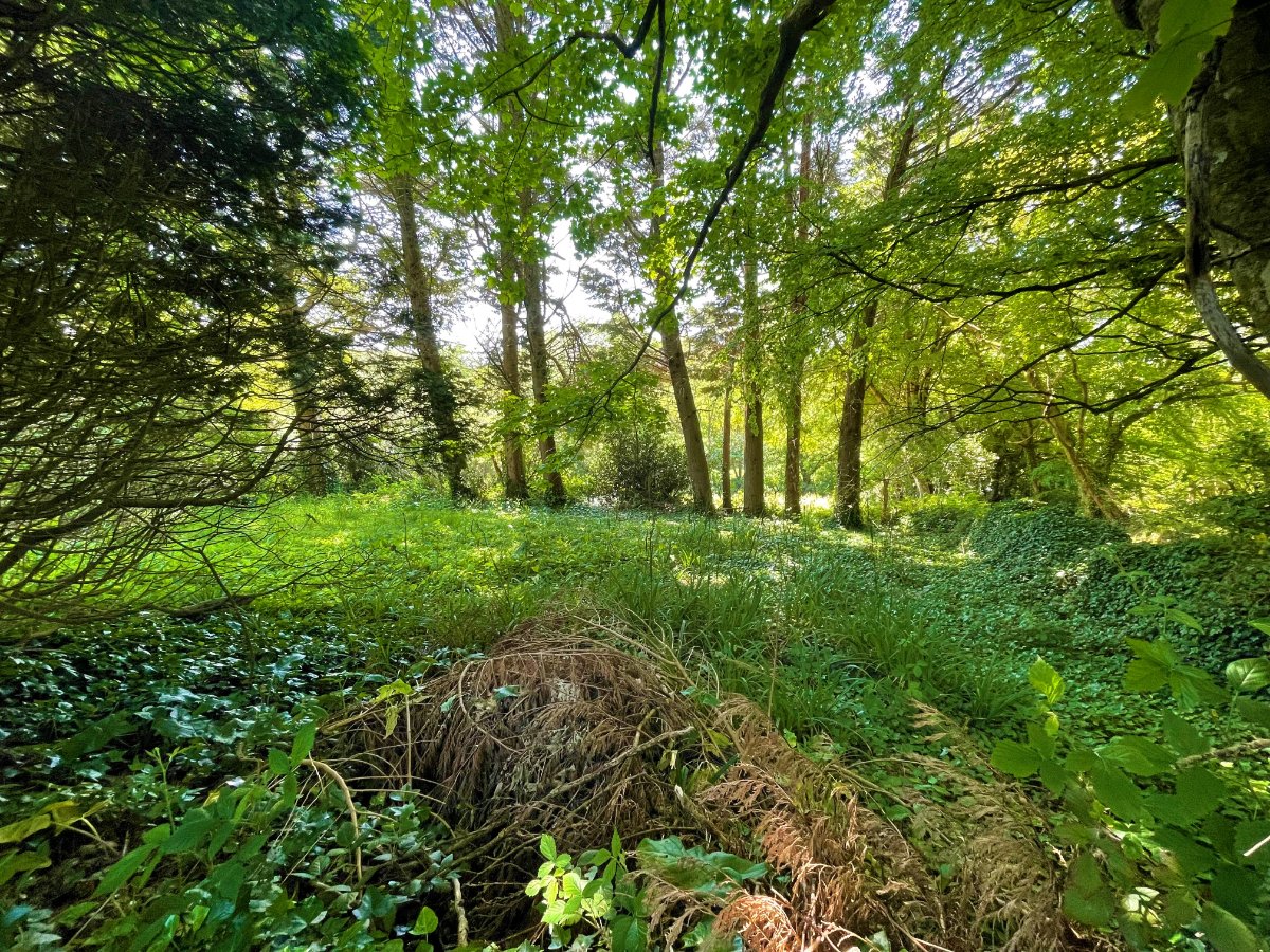 3 bedroom Cottage, Enys Hill, Penryn, TR10 - Sold, Image 29