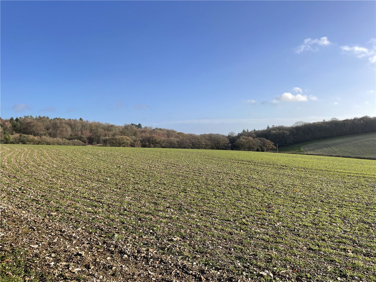 191.8  Land, Fosbury, , SN8 - Sold
