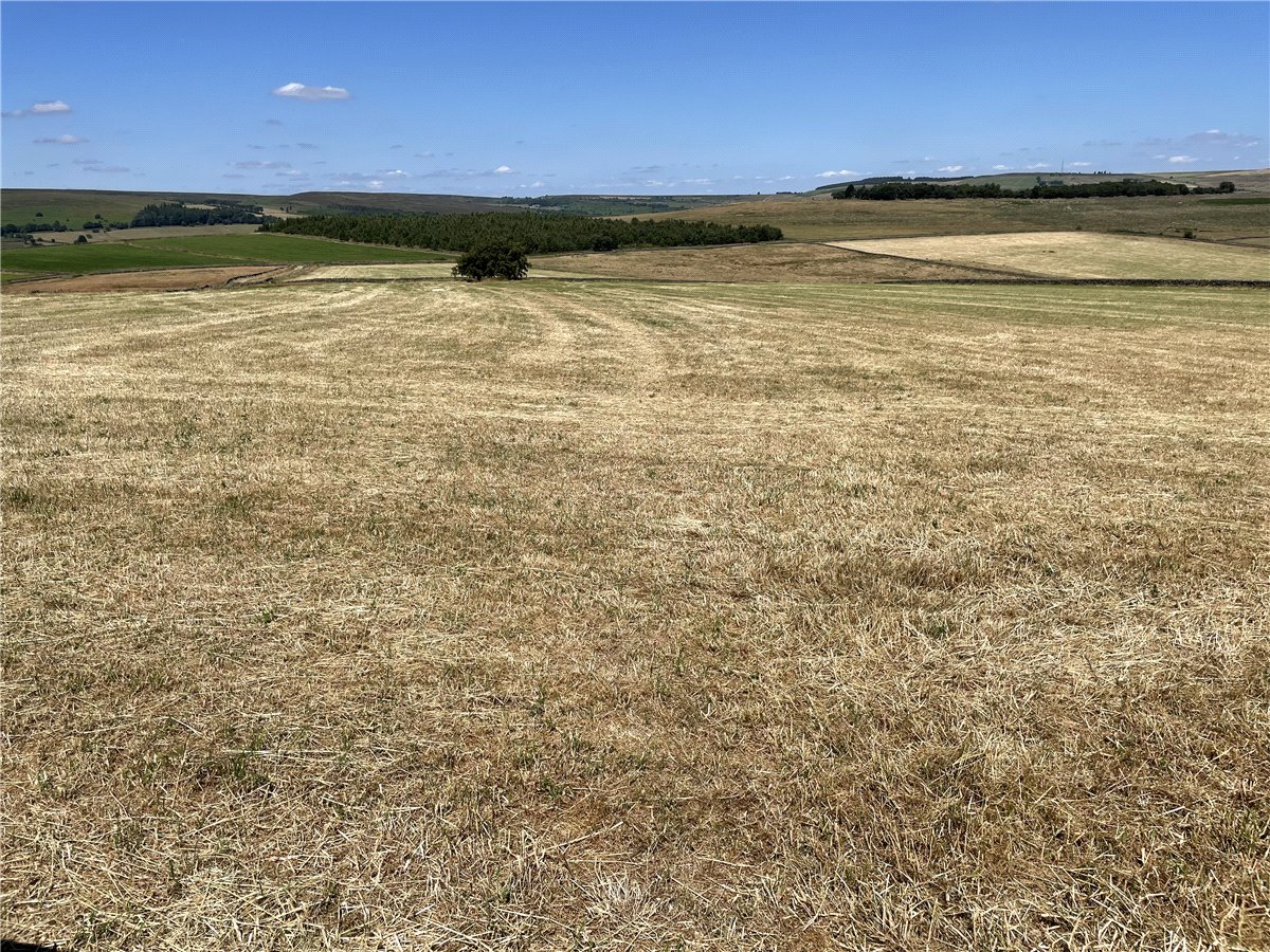 219.09  Land, Ughill, Bradfield, S6 - Sold, Image 4