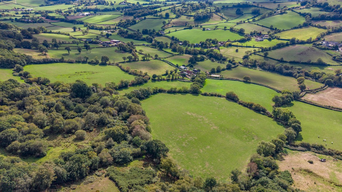 127.45  Farm, Northleigh, Colyton, EX24 - Available, Image 35