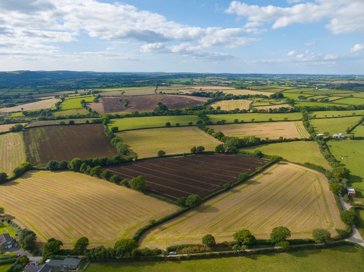 67.11  Land, Linkinhorne, Callington, PL17 - Sold