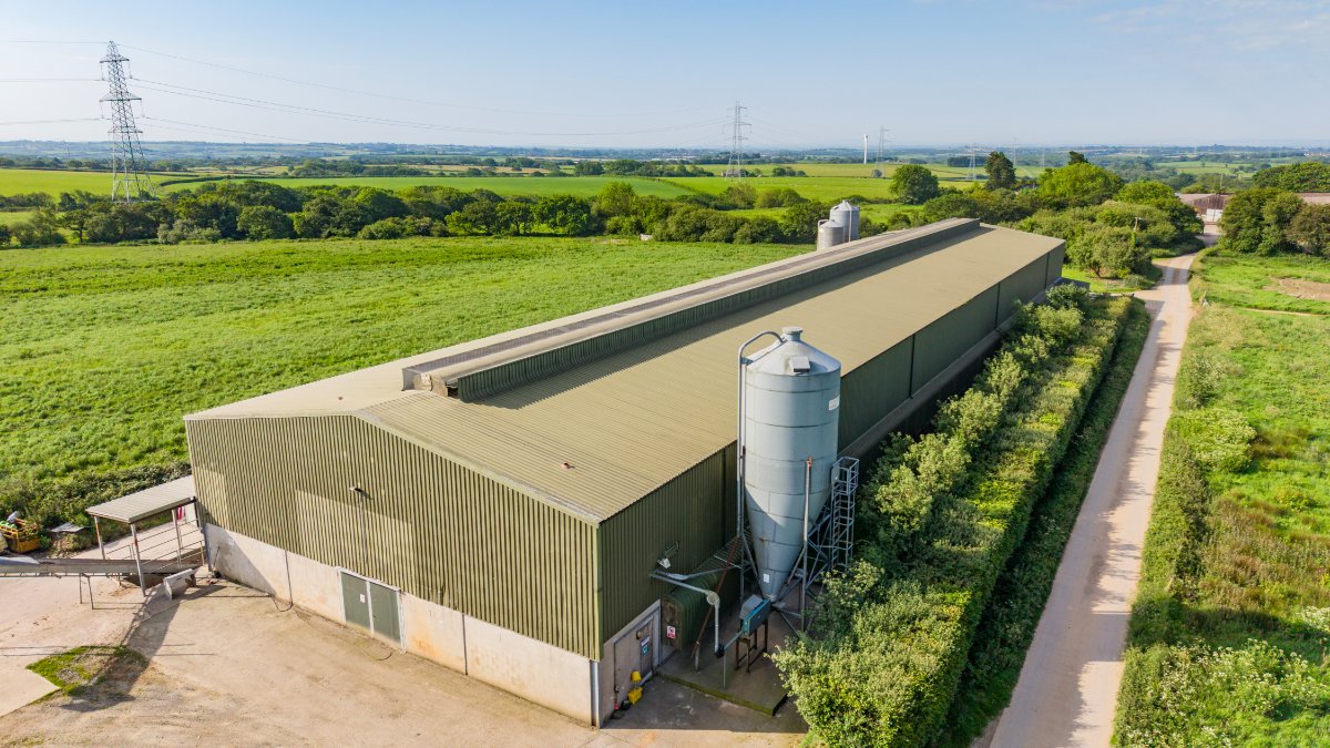 219.96  Farm, Holsworthy Beacon, Holsworthy, EX22 - Available, Image 7