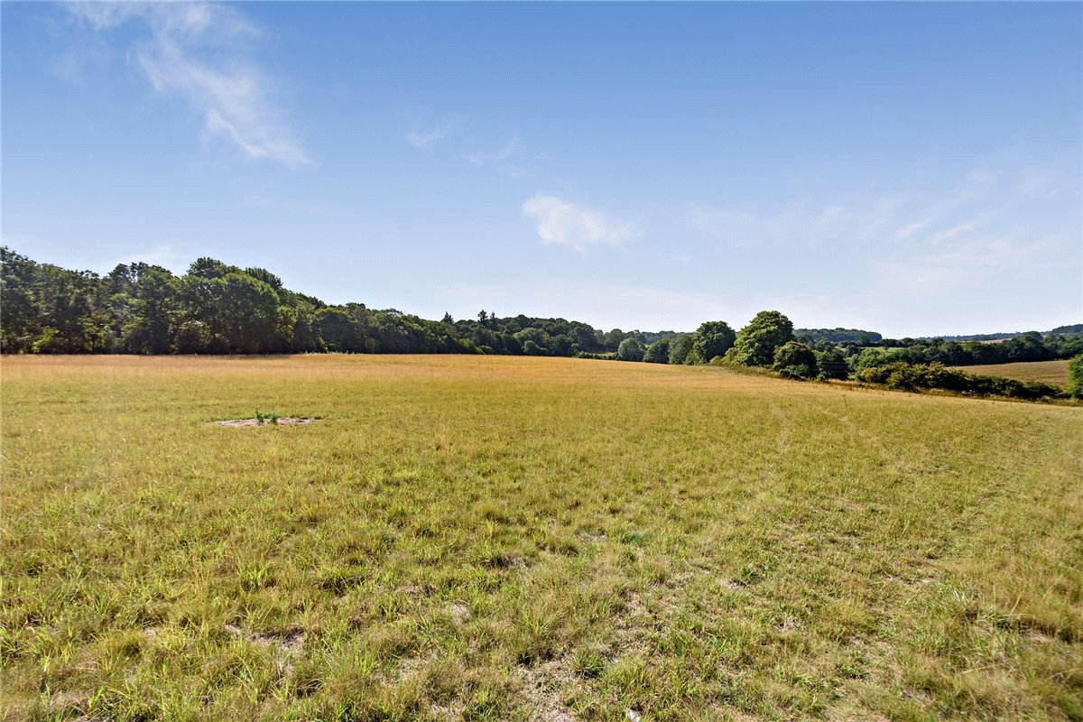   Land, Pebble Lane, Winterbourne, RG20 - Sold, Image 6