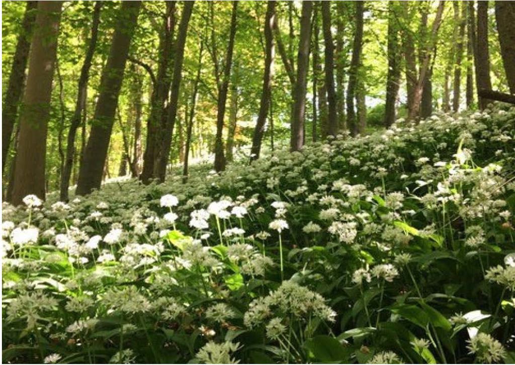 317 to 437 Sq Ft, The Rocks, Colerne, SN14 - Available, Image 13