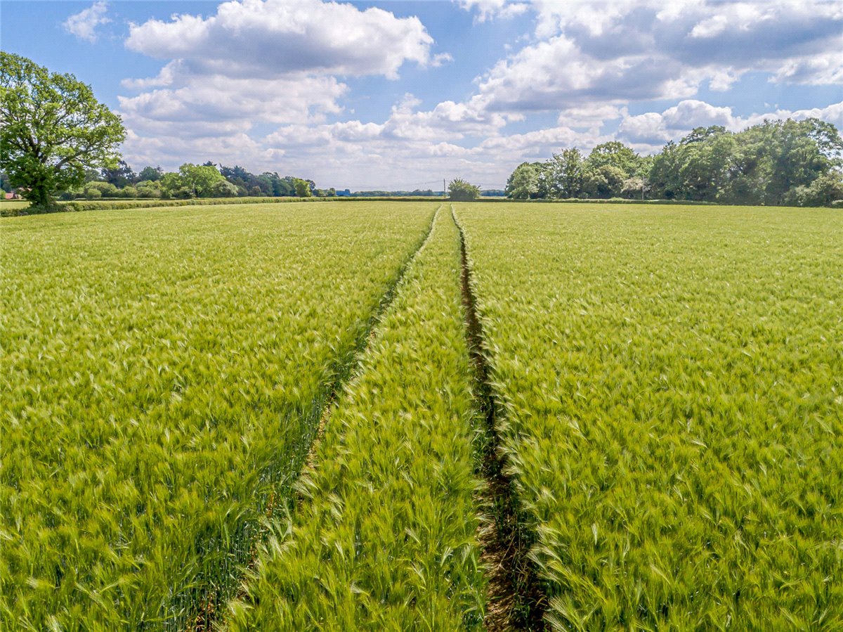 206.14  Land, Drinkstone Road, Beyton, IP30 - Sold