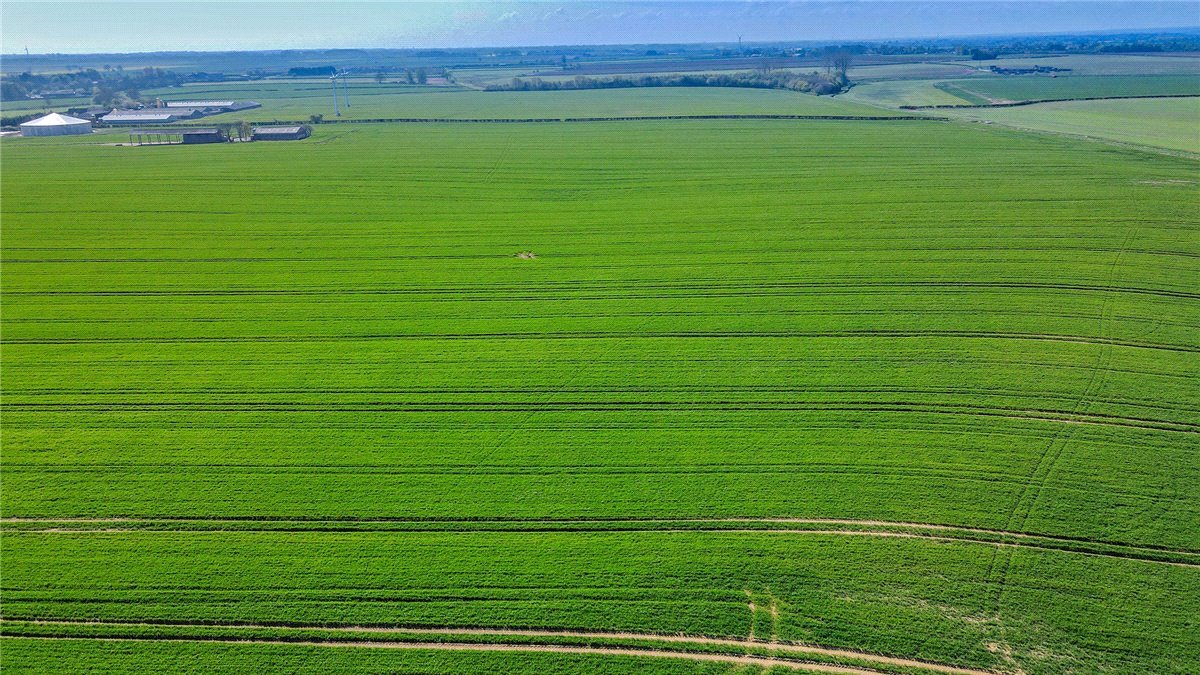   Land, Lot 3 - Land At Beeford and Foston, Driffield, YO25 - Sold STC, Image 6