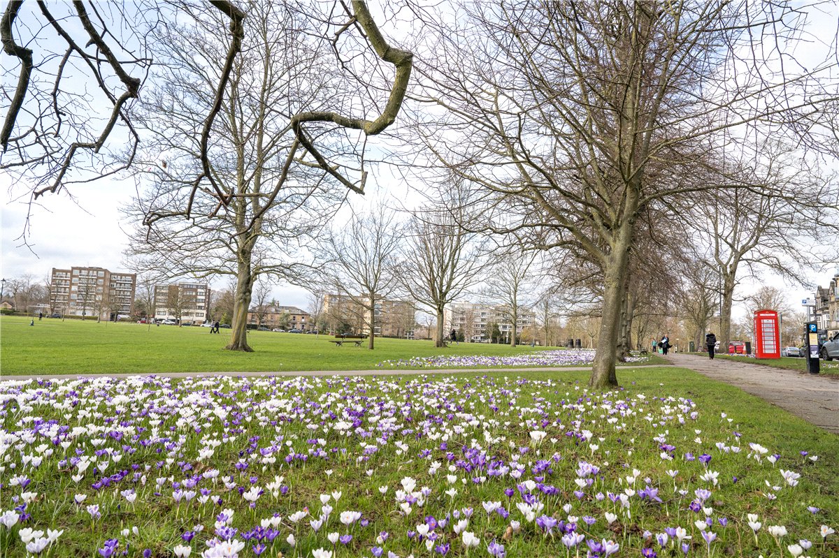 0 bedroom Flat, West Park, Harrogate, HG1 - Available, Image 2