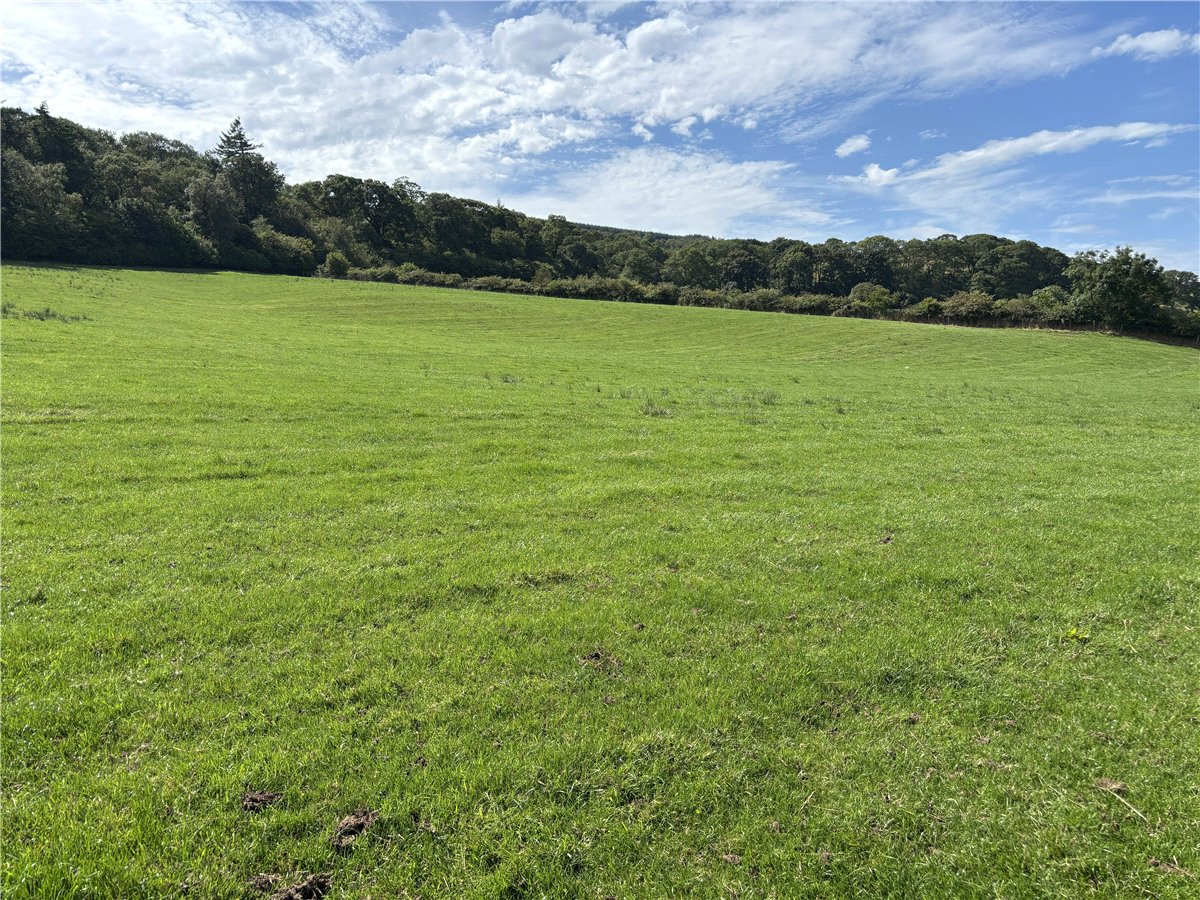   Land, Lot 2 - Prospect Farm, Cockermouth, CA13 - Available