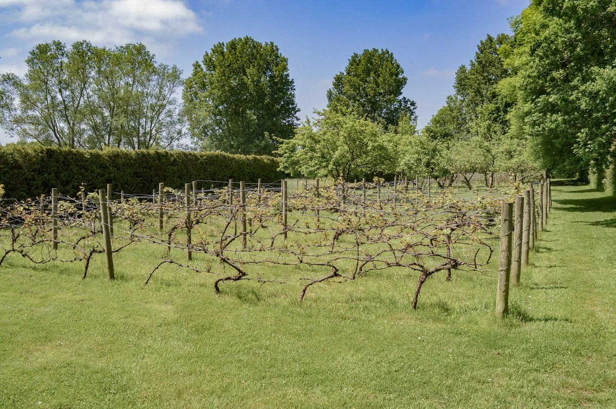 68.5  Land, Lew, Bampton, OX18 - Available, Image 25