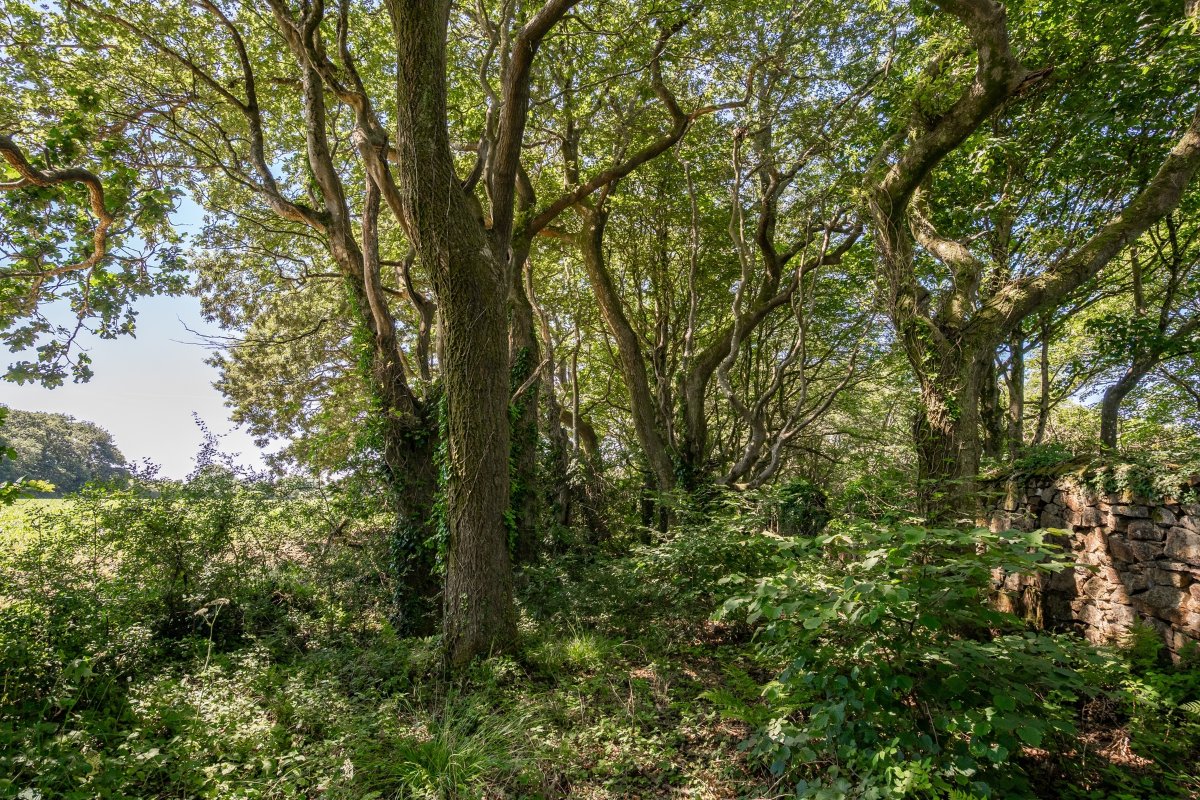 41.72  Land, Praze, Camborne, TR14 - Sold