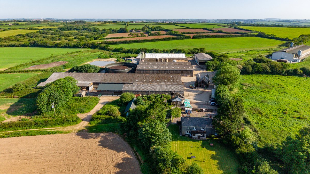 219.96  Farm, Holsworthy Beacon, Holsworthy, EX22 - Available