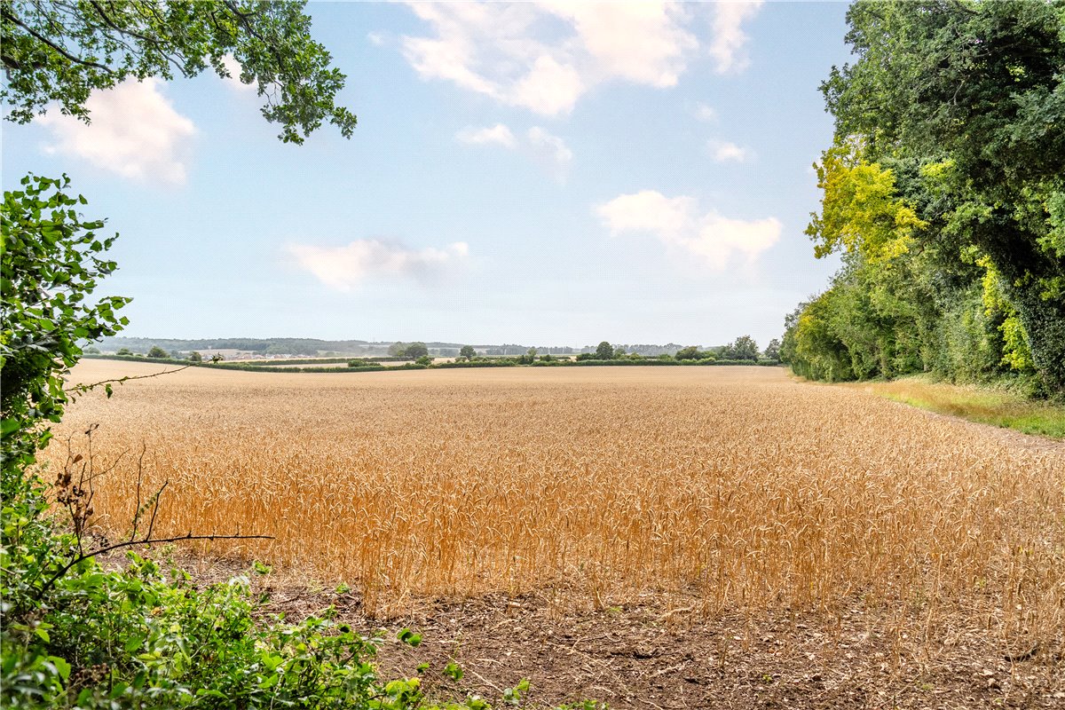 4 bedroom Barn Conversion, Hurstbourne Priors, Whitchurch, RG28 - Available, Image 3