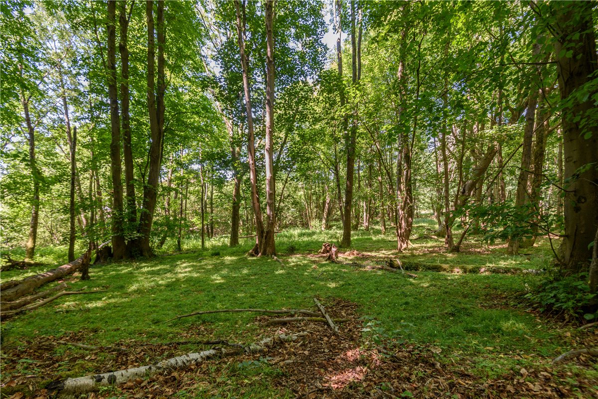 7.8  Land, Greenham, Thatcham, RG19 - Sold, Image 1