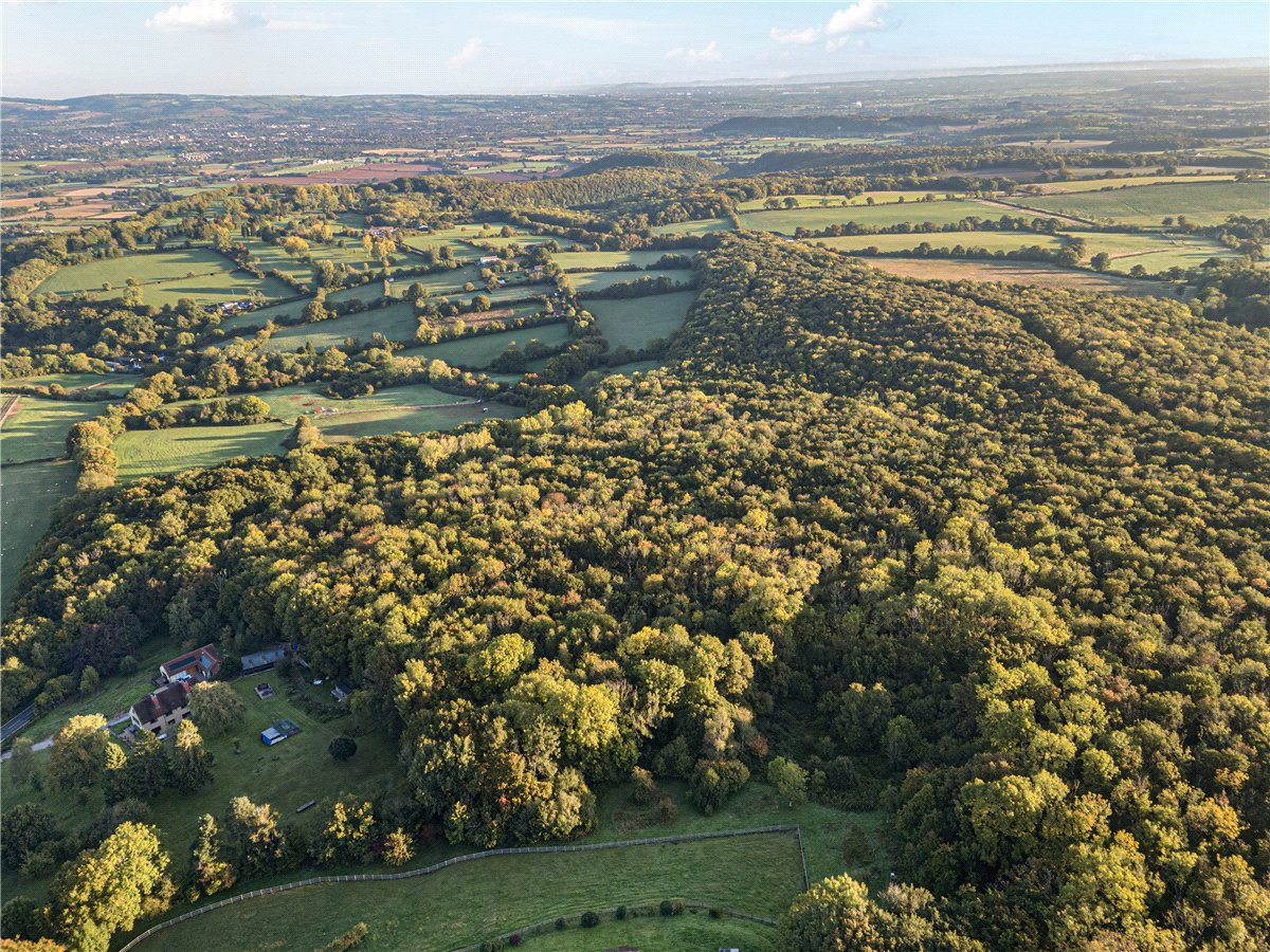 25.49  Land, Blake's Copse and Whitford Copse, Corfe, TA3 - Sold STC