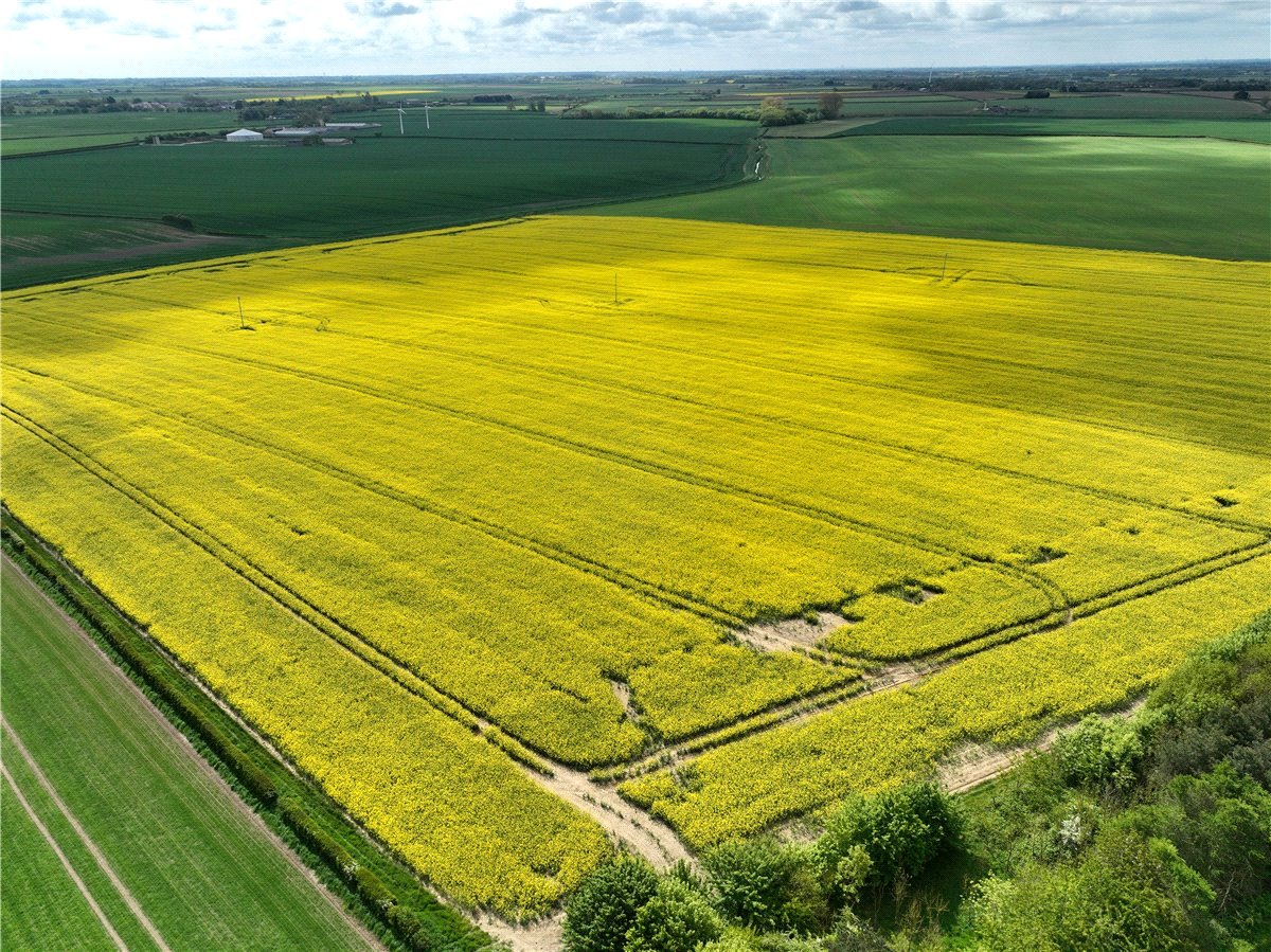   Land, Lot 2 - Land At Beeford and Foston, Driffield, YO25 - Sold STC, Image 4