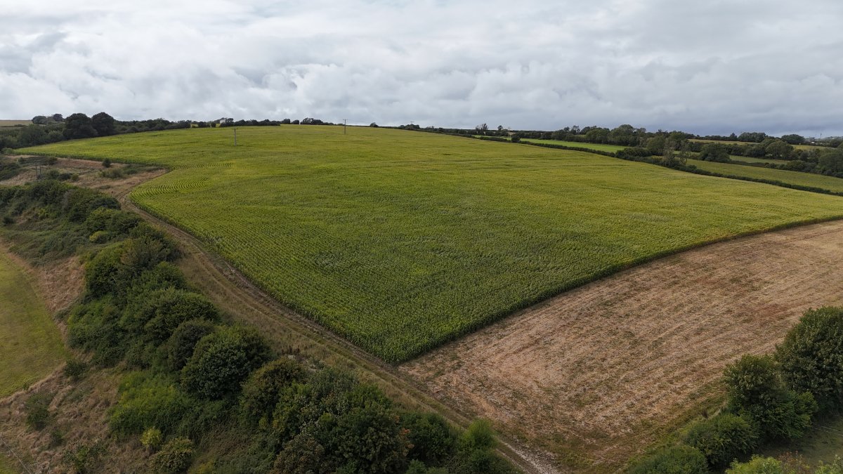 46.43  Land, Lot 3: Land At Cruxton Manor Farm, Cruxton, DT2 - Available, Image 4
