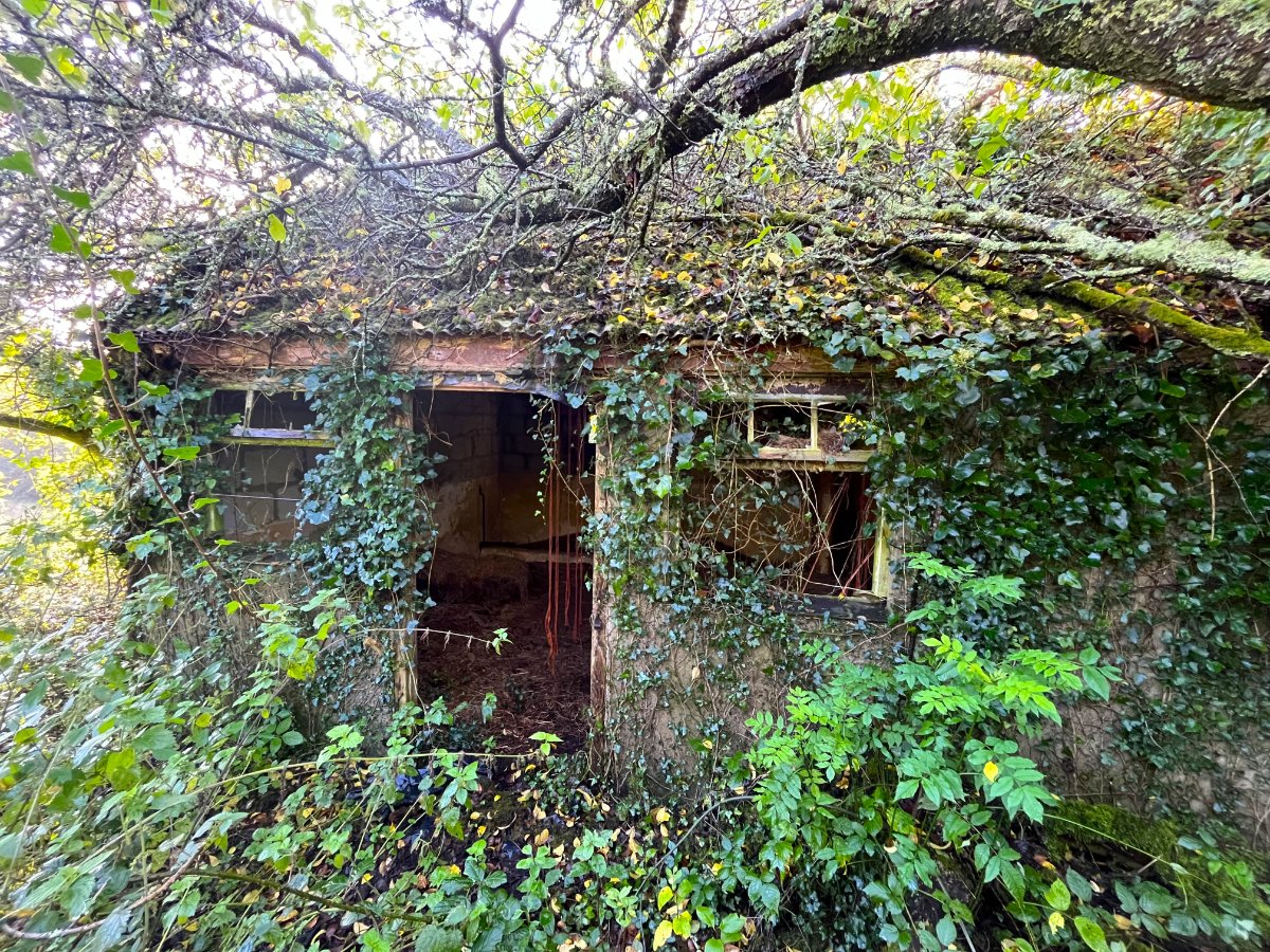 70.72  Land, Zelah, Truro, TR4 - Sold, Image 9