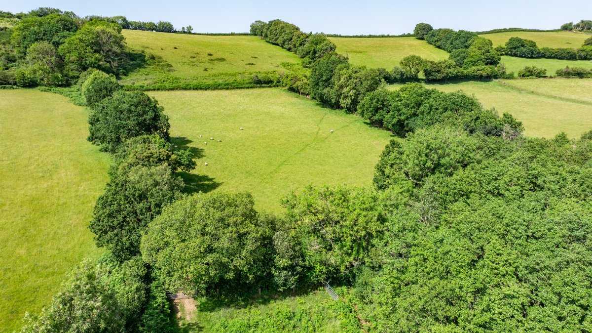 52.68  Land, Land At Shillingford, Tiverton, EX16 - Sold, Image 2