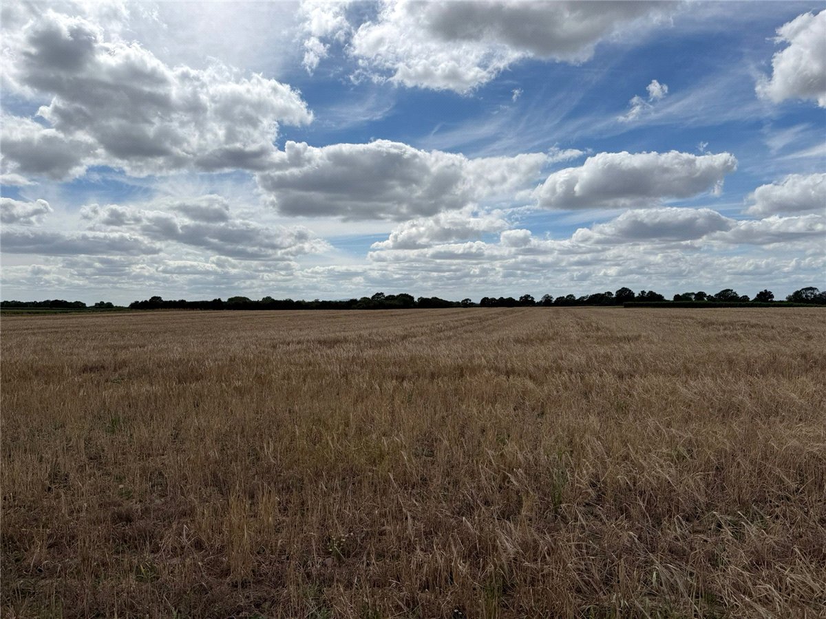   Land, Alcester Road, Worcester, WR7 - Available, Image 8