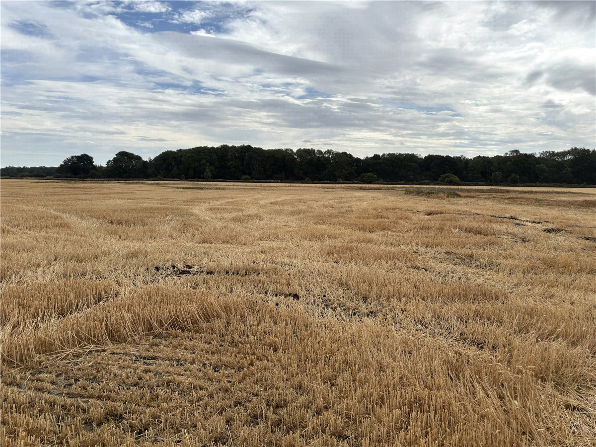   Land, Land At Owston, Doncaster, DN5 - Available, Image 4