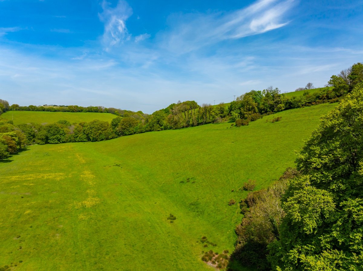 45.57  Farm, Golberdon, Callington, PL17 - Sold, Image 17