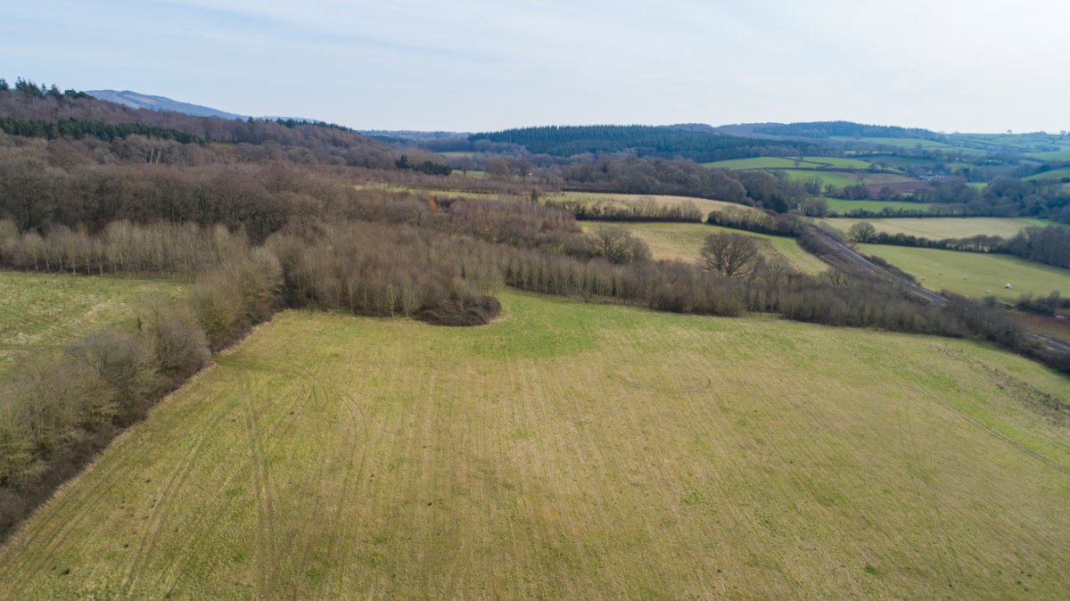 58.55  Land, Castlake, Stogumber, TA4 - Sold