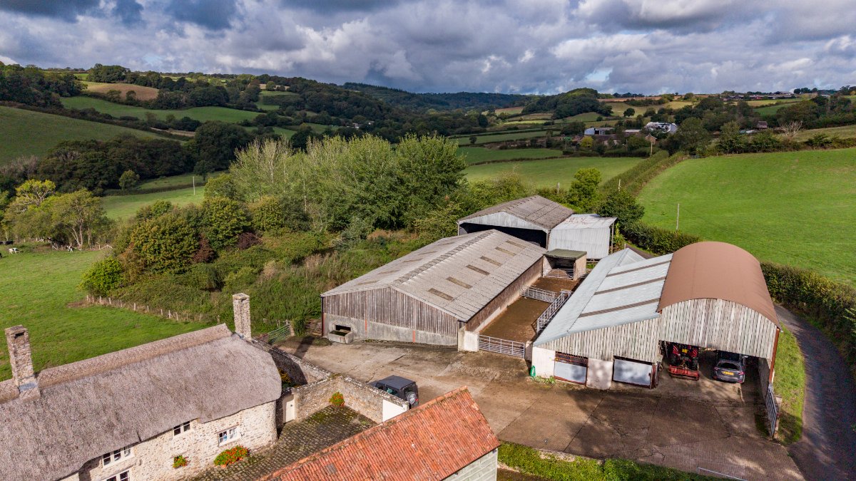 127.45  Farm, Northleigh, Colyton, EX24 - Available, Image 28