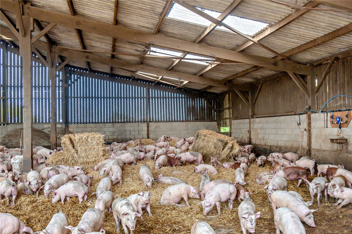   Farm, Wains Lane, Staxton, YO12 - Sold, Image 16