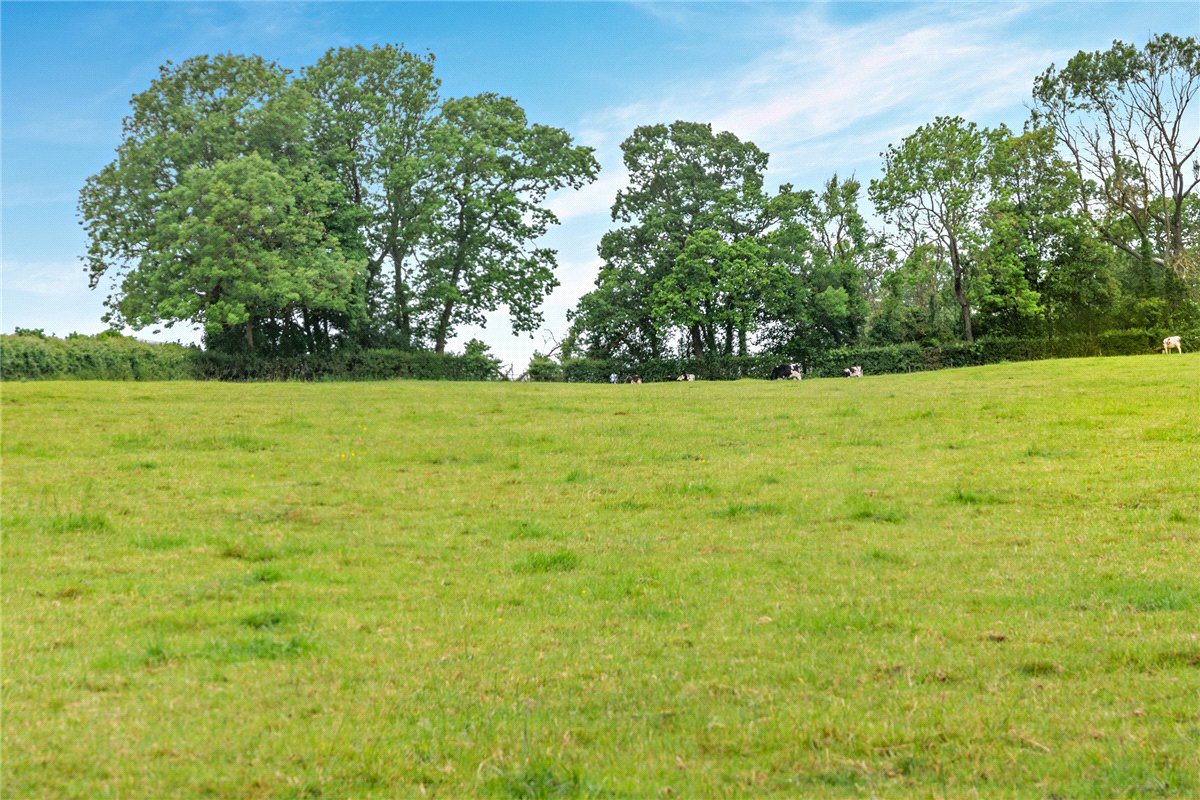   Farm, Bassett House Farm, Thorpe Bassett, YO17 - Available, Image 19