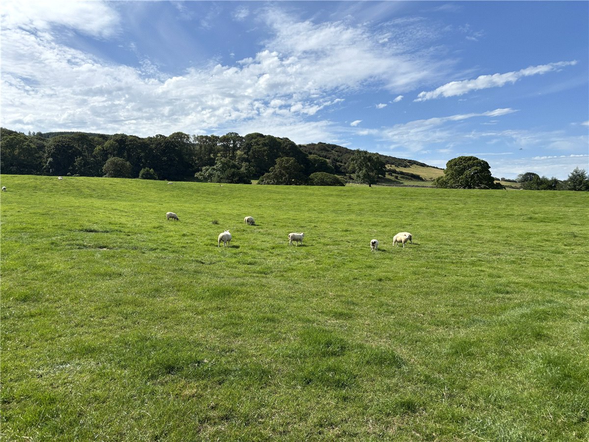   Land, Lot 2 - Prospect Farm, Cockermouth, CA13 - Available, Image 2