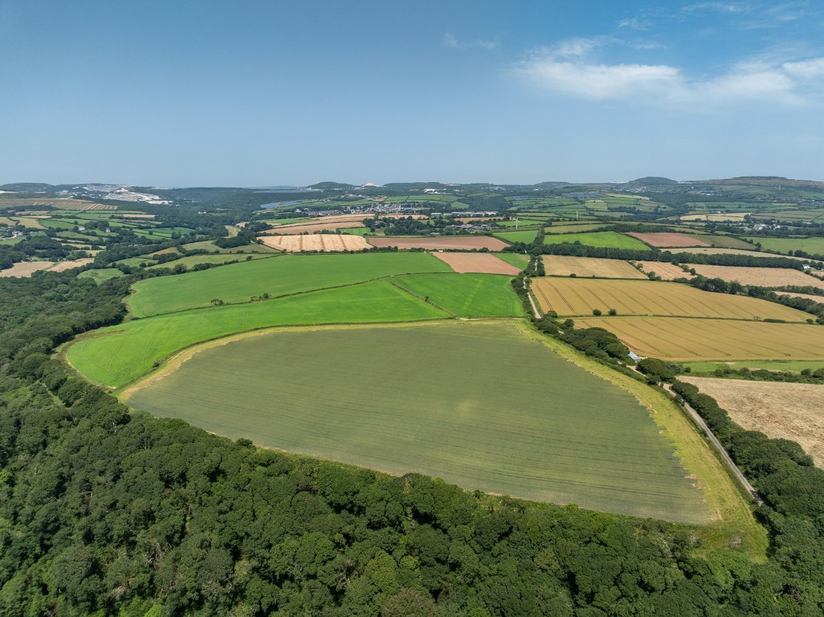 49.79  Land, Land At Resugga Farm, St. Stephen, PL26 - Sold STC, Image 6