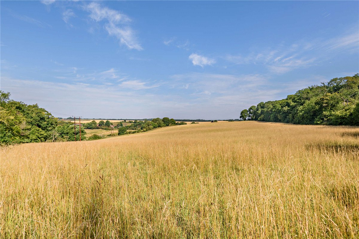   Land, Pebble Lane, Winterbourne, RG20 - Sold, Image 4