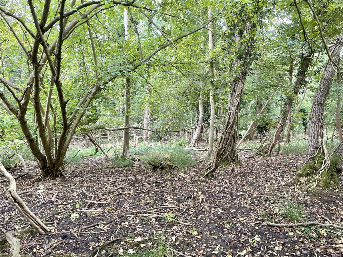 3.84  Land, Whittlesford, South Cambridgeshire, CB22 - Available, Image 7