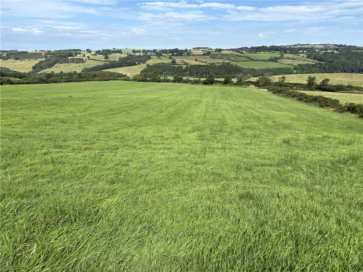   Farm, Lot 4 - Prospect Farm, Cockermouth, CA13 - Available, Image 3