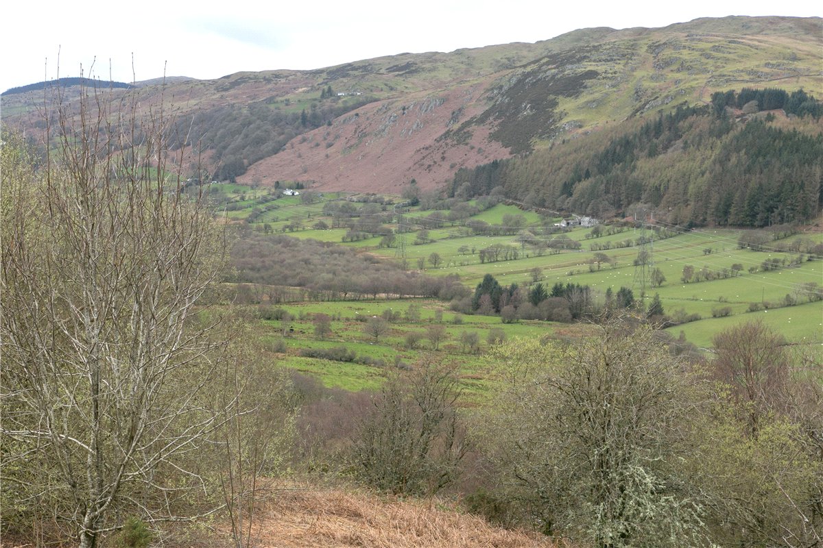 255  Land, Land At Cwm Main and Cefn Caer Euni, Llandderfel, LL23 - Available, Image 3