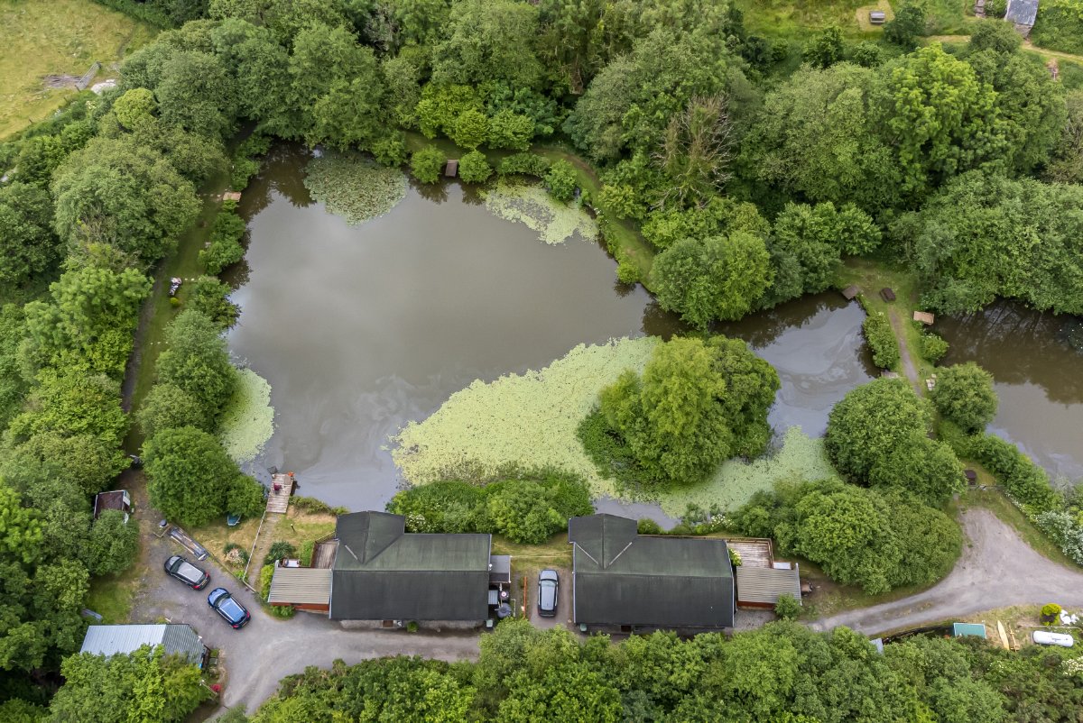 8 bedroom Residential, Buckland Brewer, Bideford, EX39 - Available, Image 1