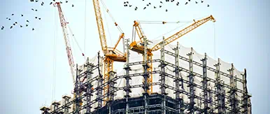 This image captures a large construction site featuring towering yellow cranes and the steel framework of a high-rise building in development. The upward view highlights the scale, progress, and precision of modern construction engineering, while birds flying overhead add a sense of motion and urban energy. 