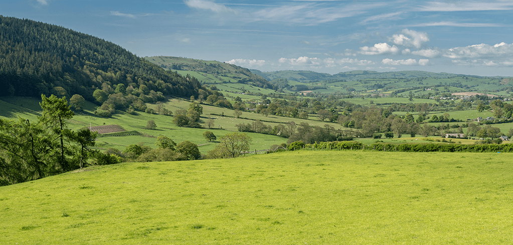 Lush green rolling countryside with fields, trees, and hills under a partly cloudy blue sky.
