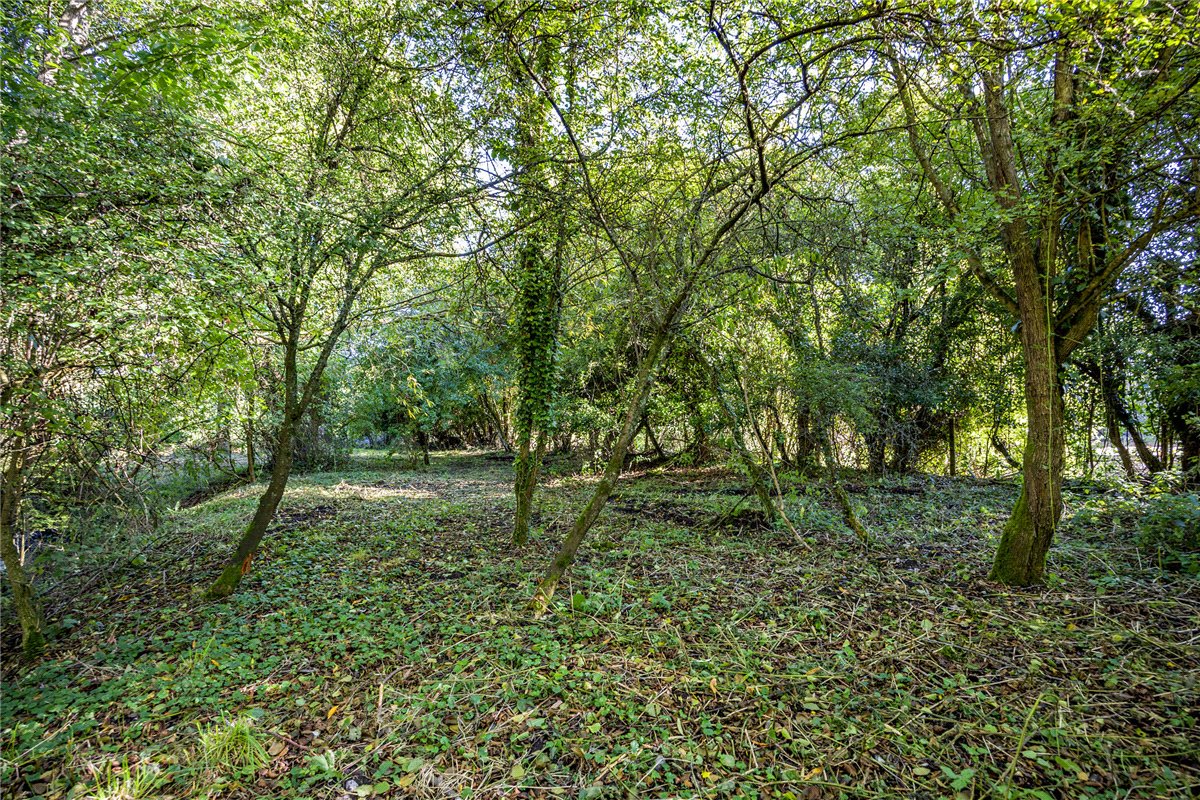 1.39  Land, Lower Way, Thatcham, RG19 - Sold, Image 8