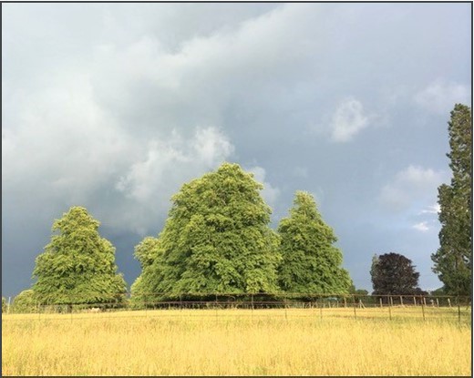 317 to 437 Sq Ft, The Rocks, Colerne, SN14 - Available, Image 1