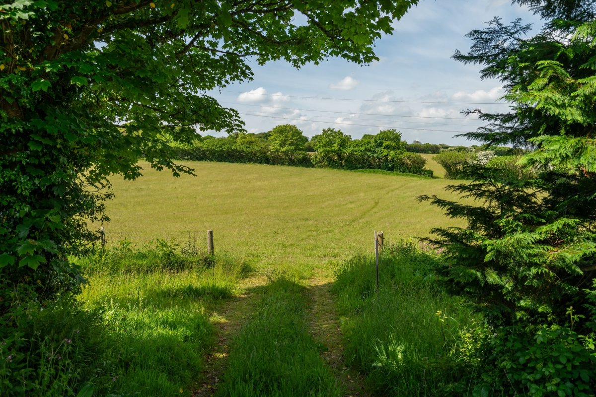 49.48  Farm, Tresamble, Gwennap, TR16 - Sold, Image 25