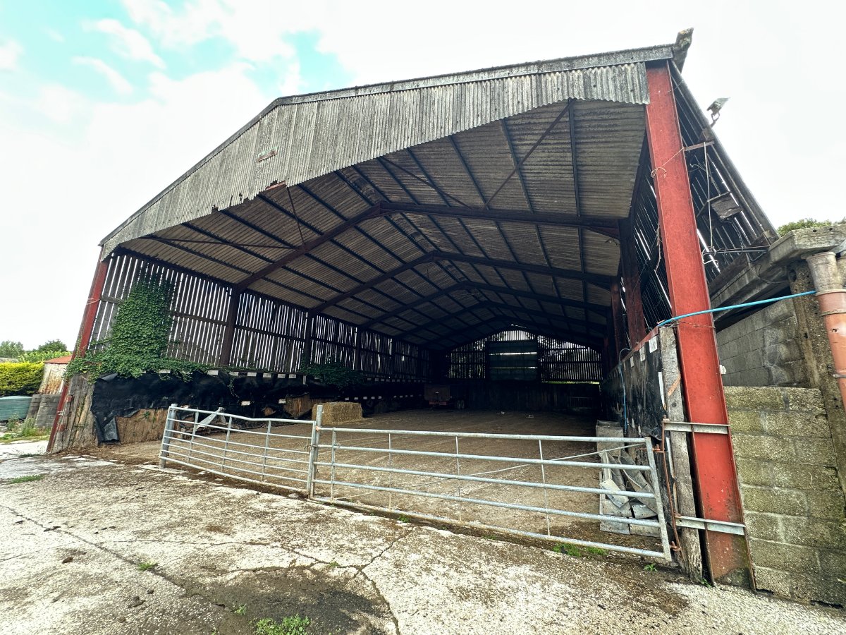 276.92  Farm, Cruxton Manor Farm, Cruxton, DT2 - Available, Image 4