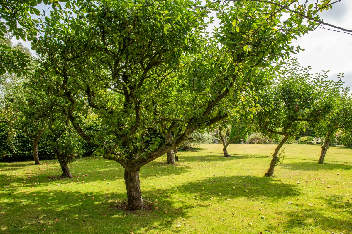 59.95  Farm, Manor Farm, Alhampton, BA4 - Sold, Image 29