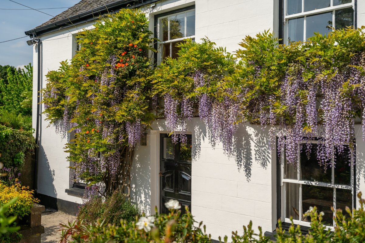 49.95  Farm, Tresamble, Gwennap, TR16 - Sold, Image 23