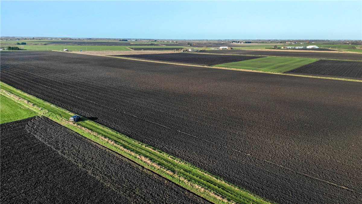 23.98  Land, Land At Pymoor - Lot 1, Main Drove, Little Downham, CB6 - Available, Image 3