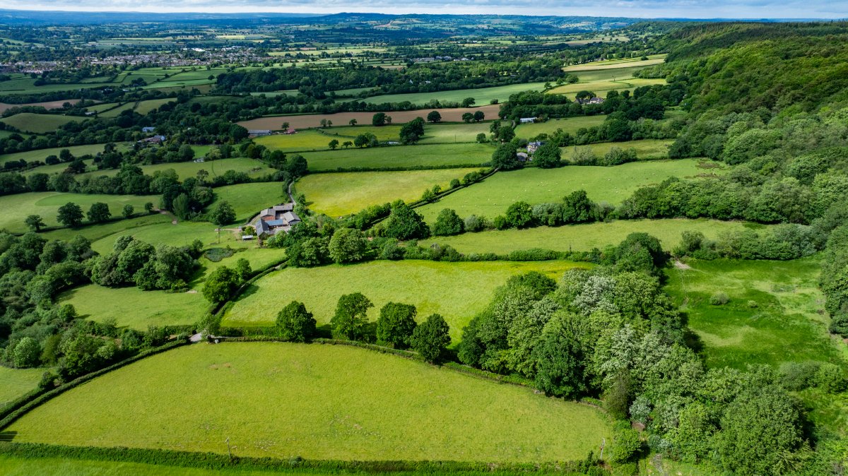 36.91  Farm, East Hill, Ottery St. Mary, EX11 - Sold, Image 7