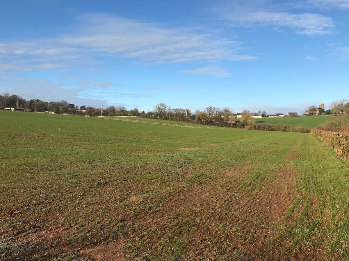 21.32  Land, Land At Langford Budville, Wellington, TA21 - Sold